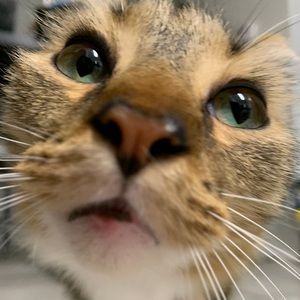 Meet your Posher, Pamela